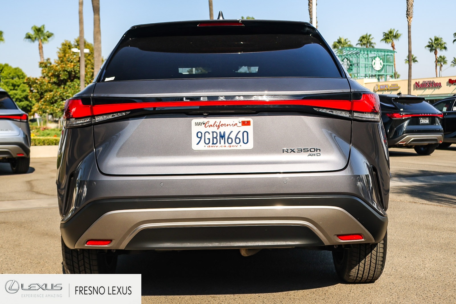 2023 Lexus RX 350h Premium photo 3