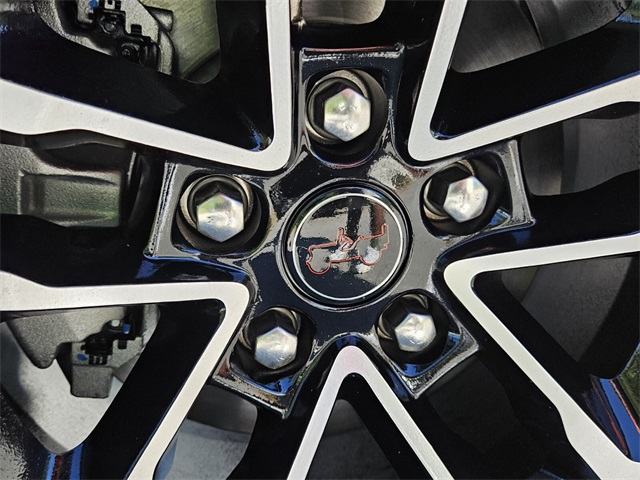 2025 Jeep Wrangler Rubicon X photo 18
