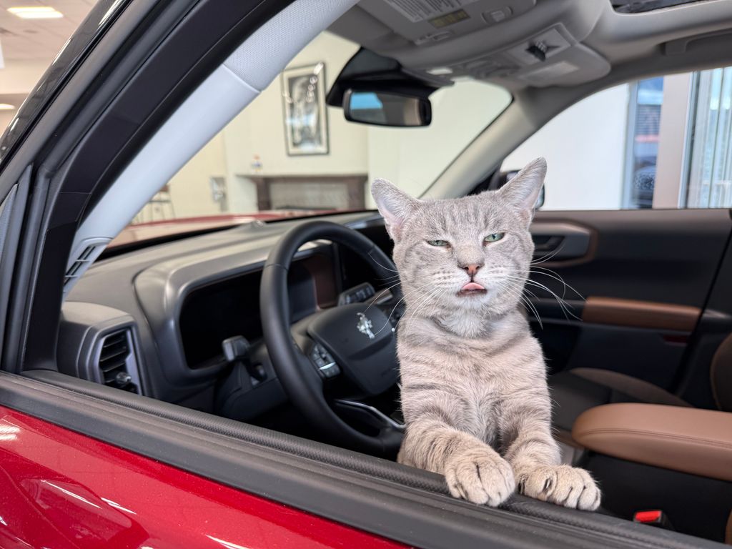 2025 Ford Escape ST-Line photo 2