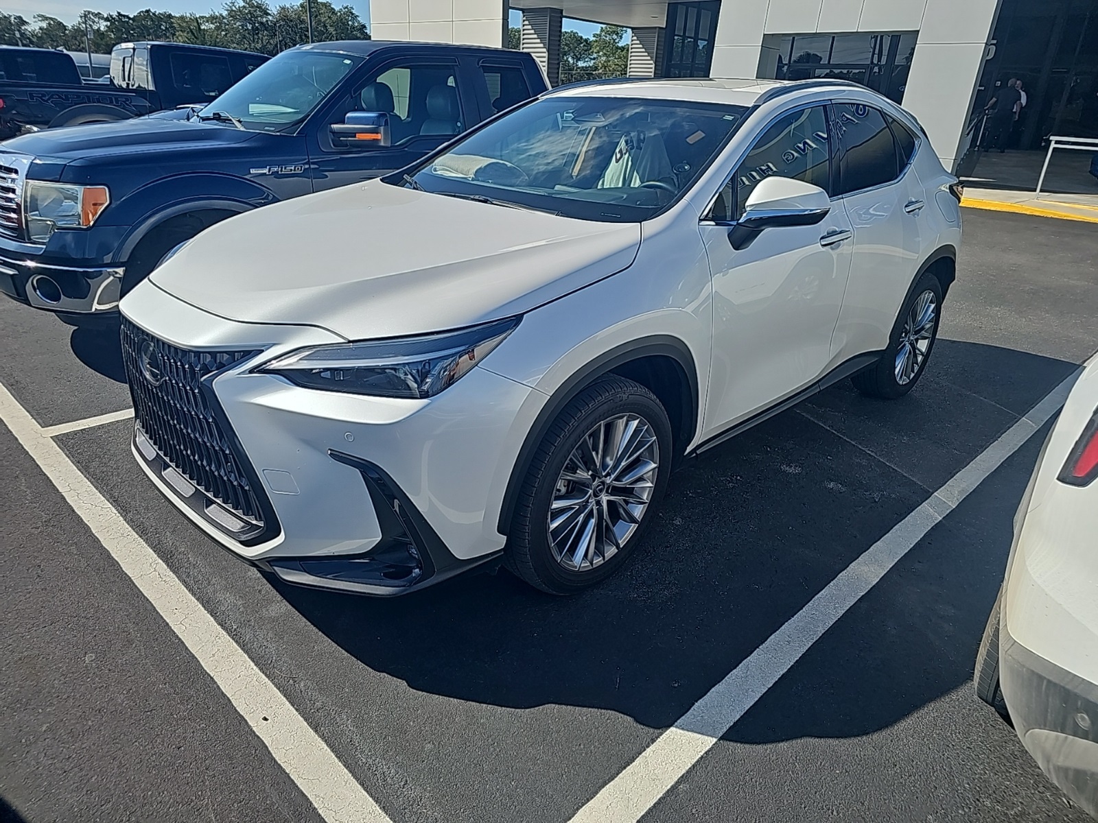 2025 Lexus NX 350's photo