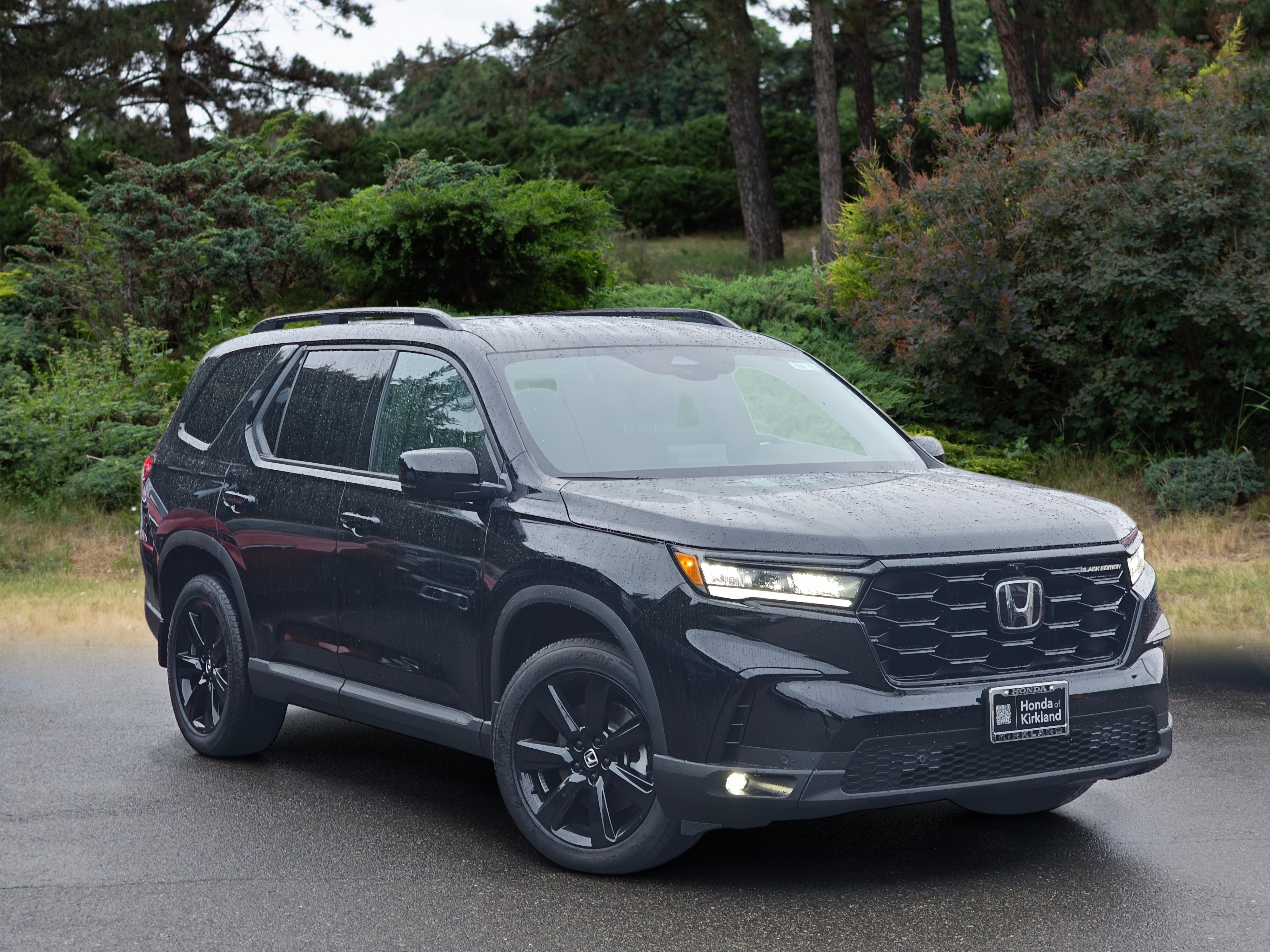 2025 Honda Pilot Black Edition's photo