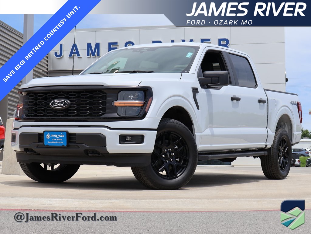 2025 Ford F-150 STX's photo