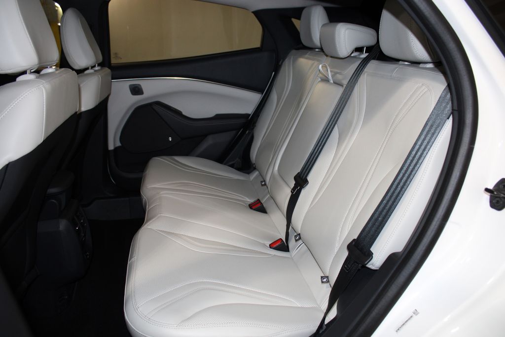 2021 Ford Mustang Mach-E Premium photo 12
