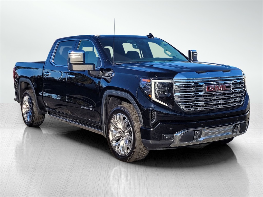 2024 Gmc Sierra 1500 Denali photo 3