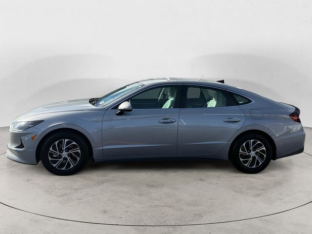 2023 Hyundai Sonata Hybrid Blue photo 2