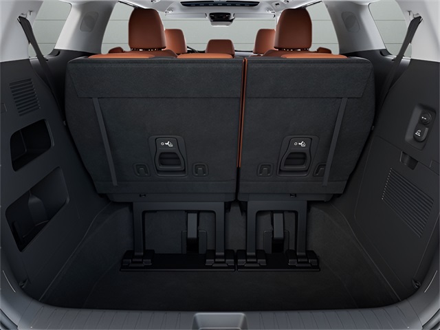 2026 Kia Carnival SX photo 10