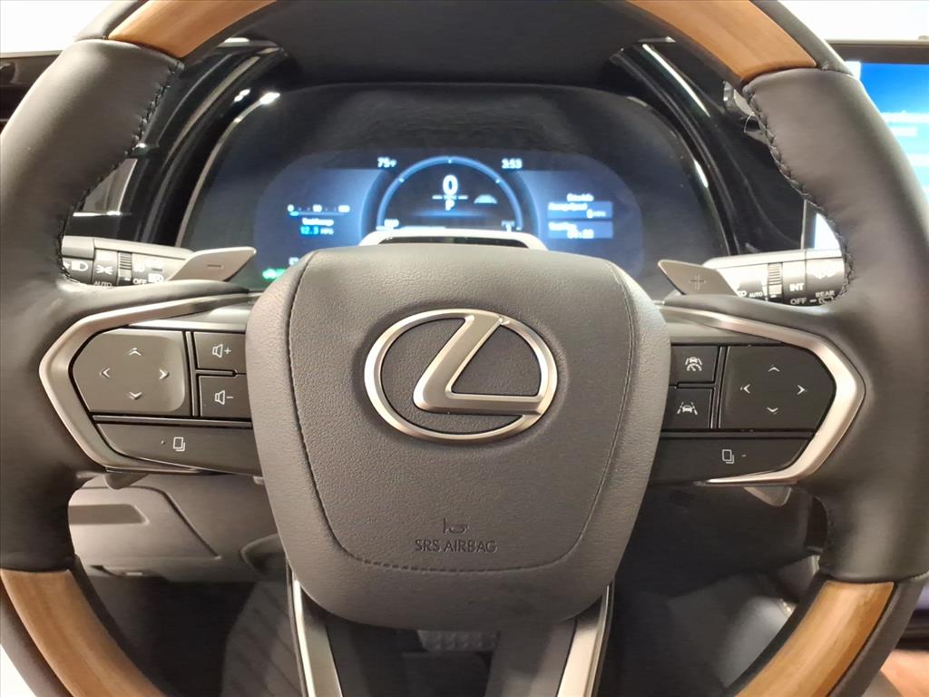 2025 Lexus RX 450h Luxury AWD photo 3