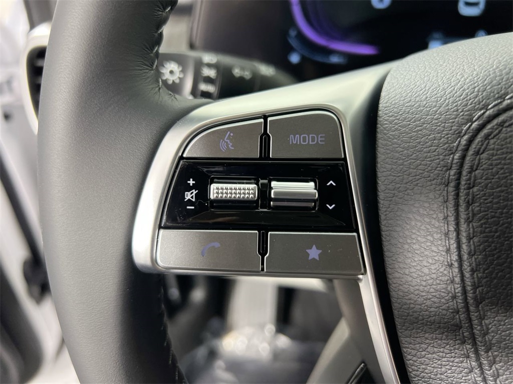 2025 Kia Telluride EX photo 10
