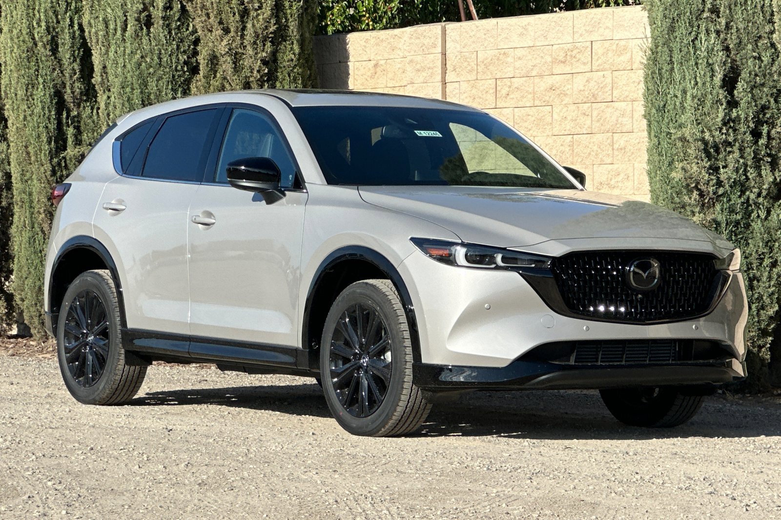 2025 Mazda CX-5 2.5 Turbo Premium photo 2