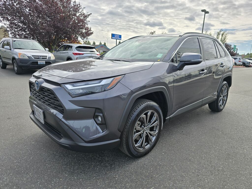 2023 Toyota RAV4 Hybrid XLE Premium photo 2