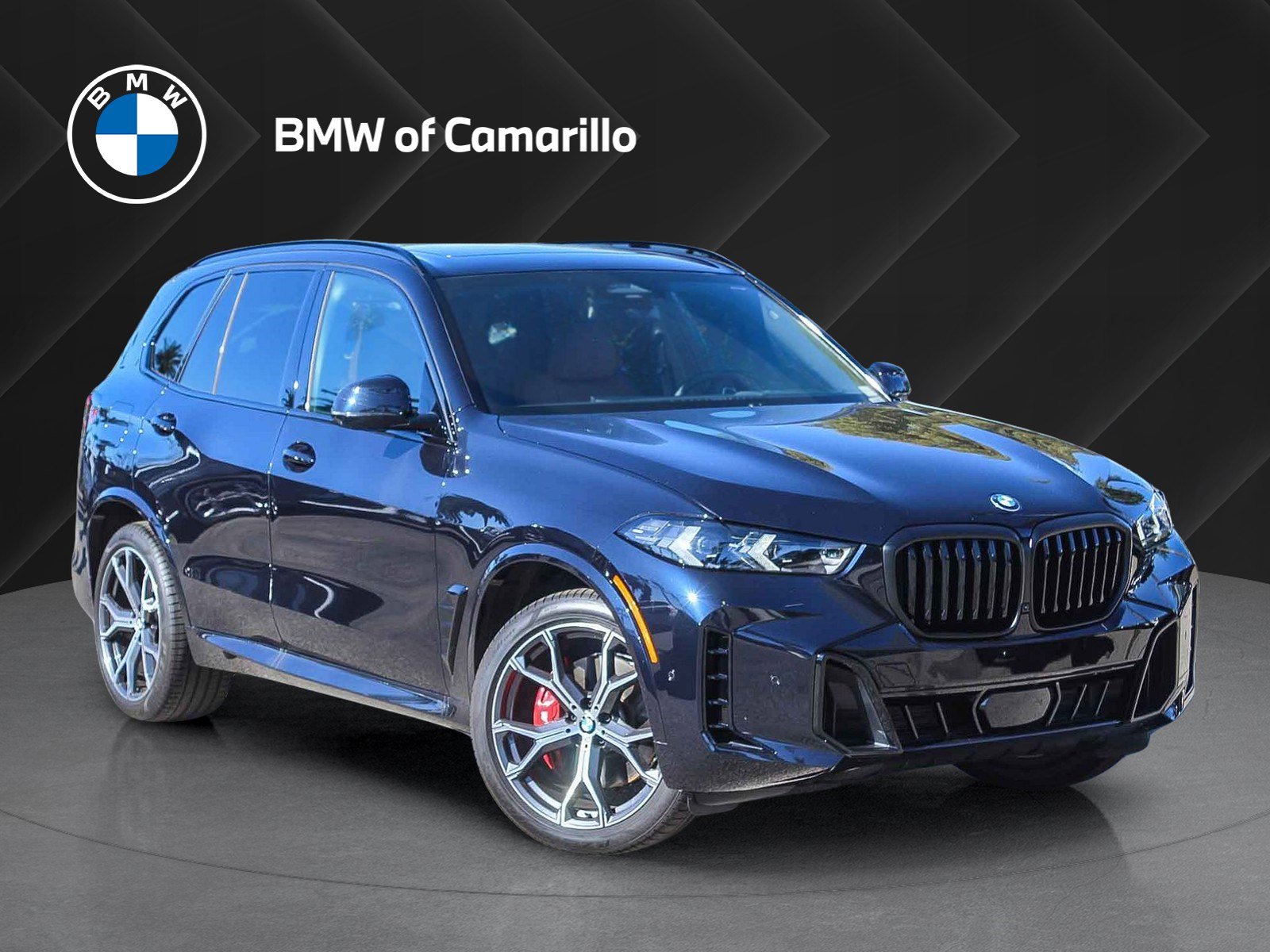 2025 BMW X5 40i's photo