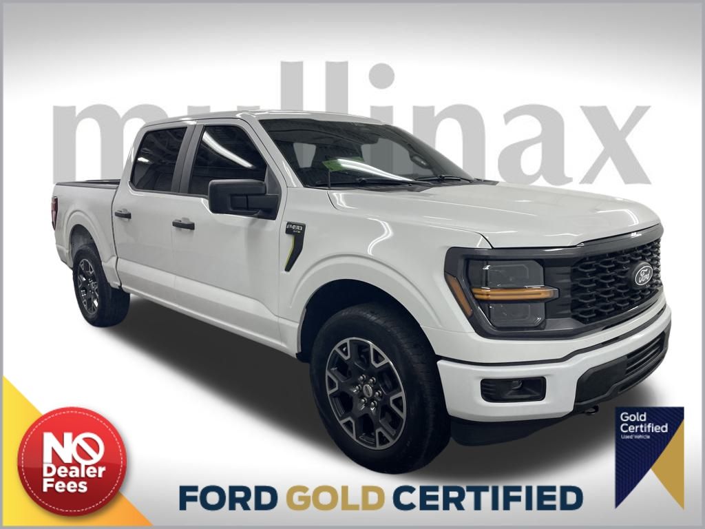 2024 Ford F-150 STX's photo
