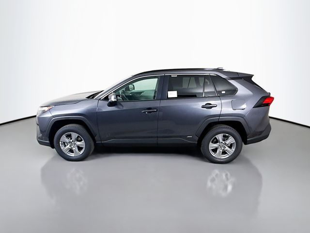 2025 Toyota RAV4 Hybrid XLE photo 4