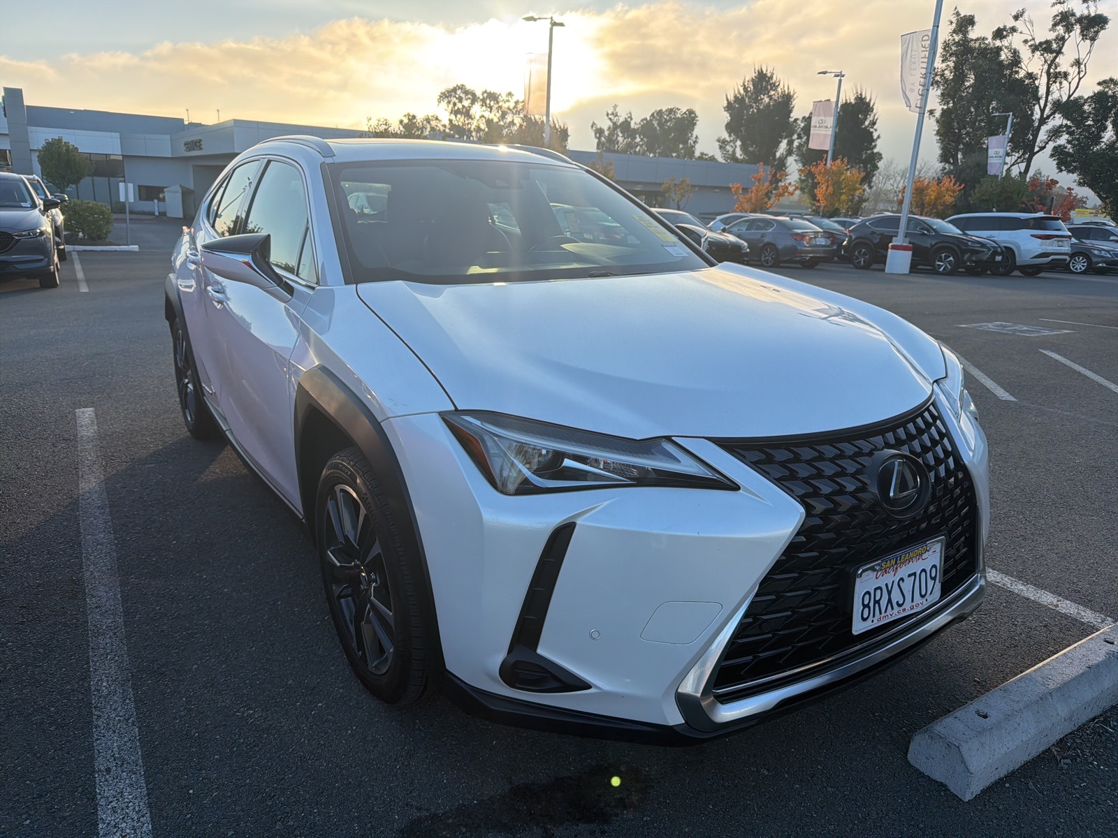2020 Lexus UX Hybrid