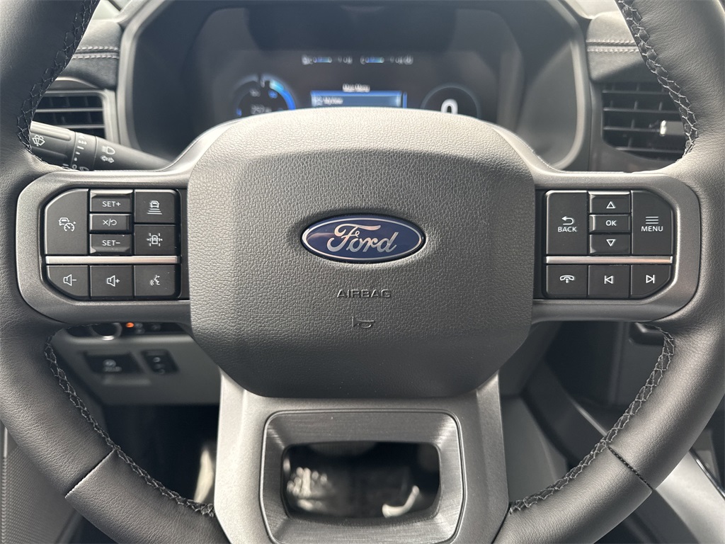 2025 Ford F-150 Lightning photo 27