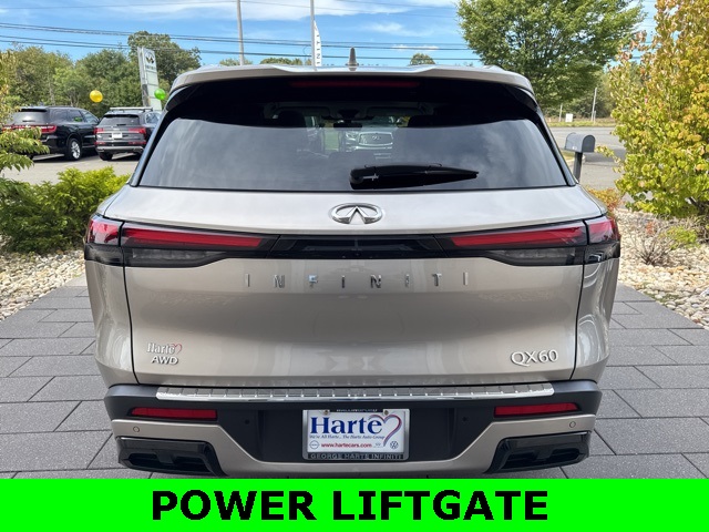 2023 Infiniti QX60 Luxe photo 5