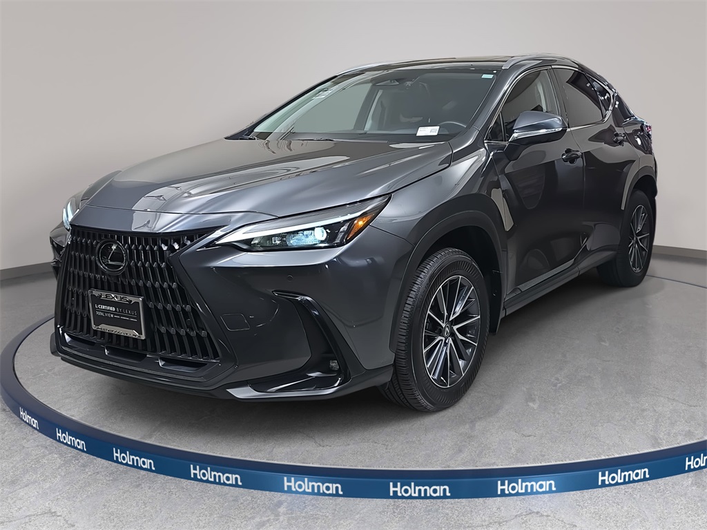 2025 Lexus NX Hybrid 350h's photo