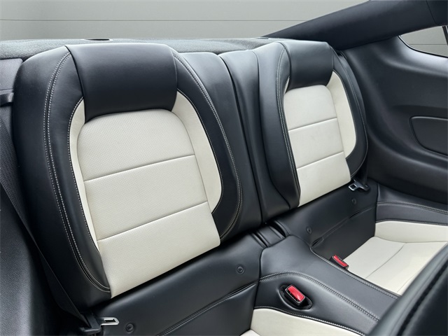 2015 Ford Mustang GT 50th Anniversary Edition photo 25