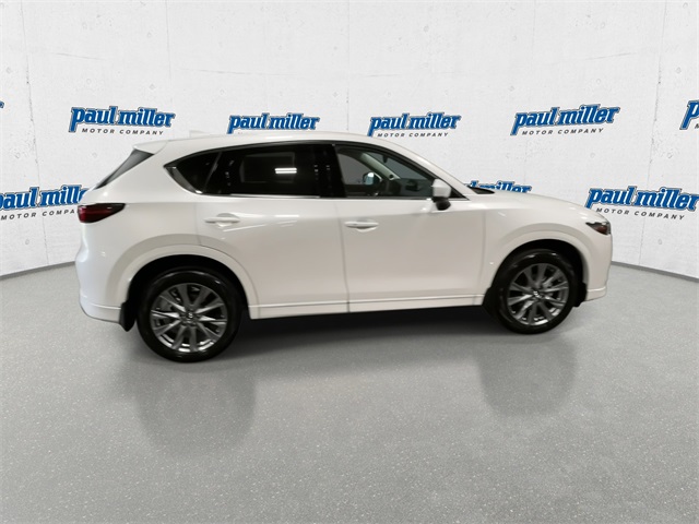 2025 Mazda CX-5 2.5 Premium Plus photo 10
