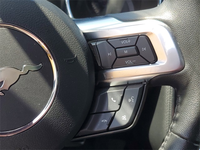 2017 Ford Mustang GT photo 9