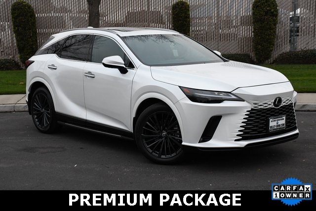 2025 Lexus RX Hybrid 350h's photo