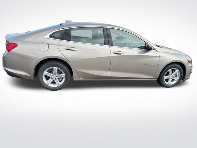 2024 Chevrolet Malibu 1LT photo 5