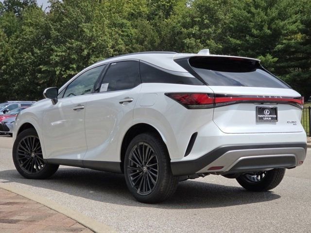 2025 Lexus RX 350 Premium photo 18