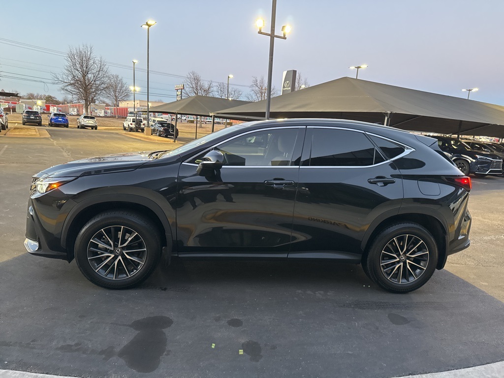 2024 Lexus NX 250
