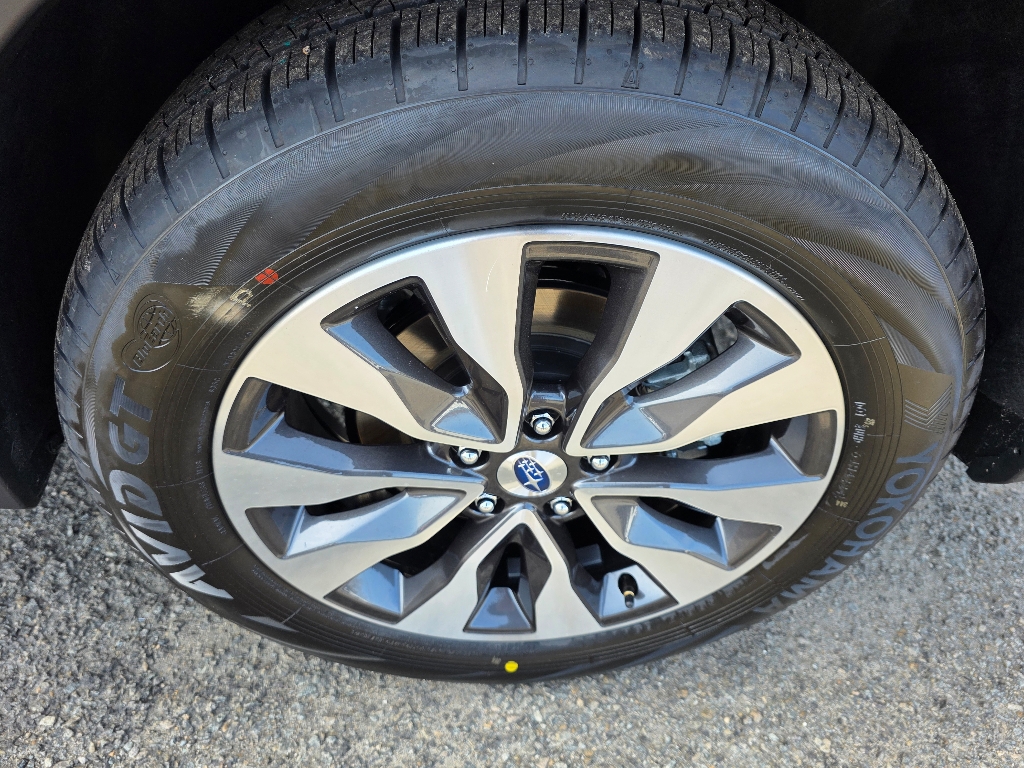 2025 Subaru Outback Limited photo 4