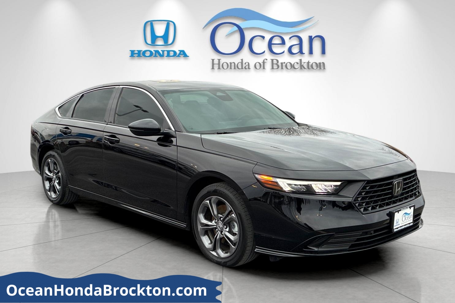 2025 Honda Accord Hybrid EX-L's photo