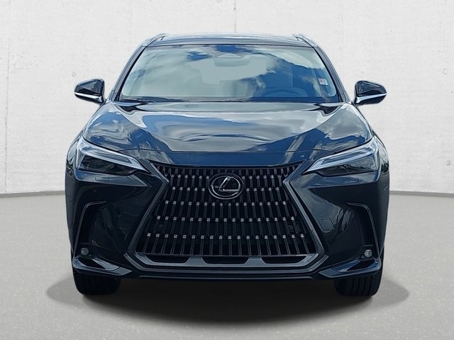 2025 Lexus NX 350 Luxury AWD photo 2