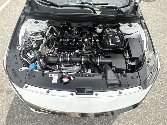 2021 Honda Accord Sport SE photo 17