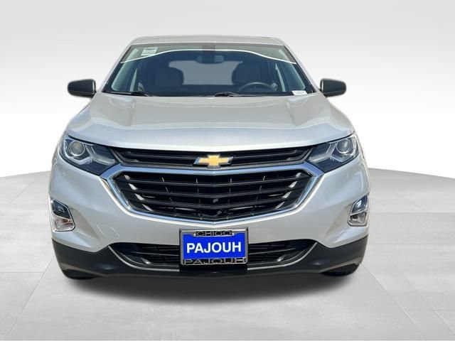 2019 Chevrolet Equinox LS photo 2