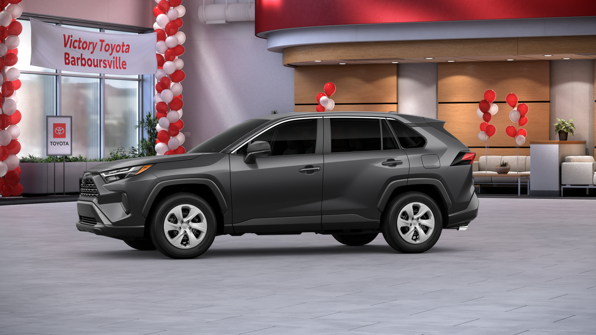 2025 Toyota RAV4 LE photo 3