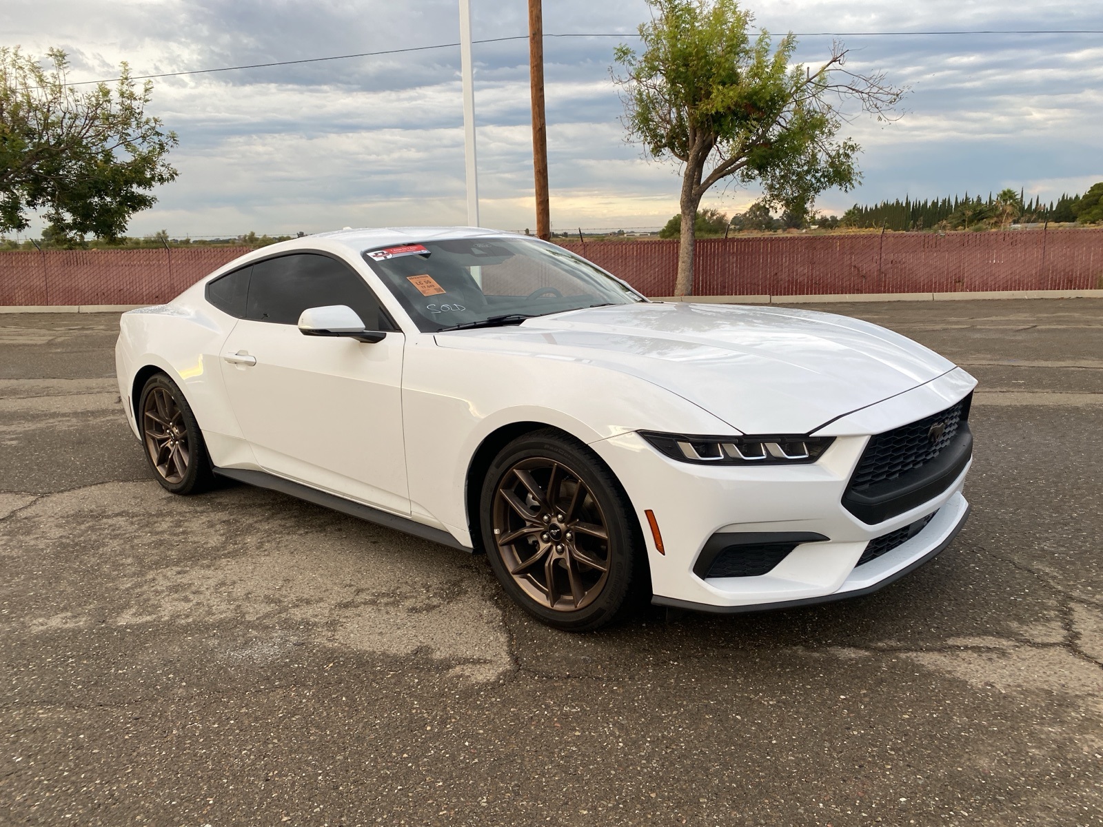 2024 Ford Mustang EcoBoost Premium photo 3