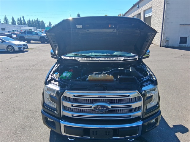 2015 Ford F-150 Platinum photo 15