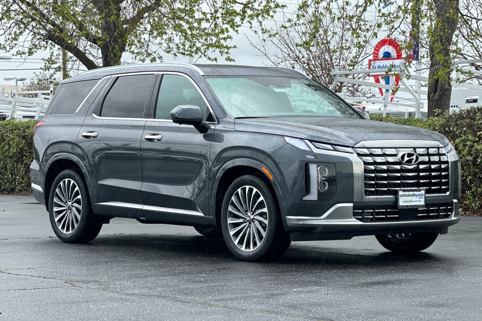2025 Hyundai Palisade Calligraphy photo 2