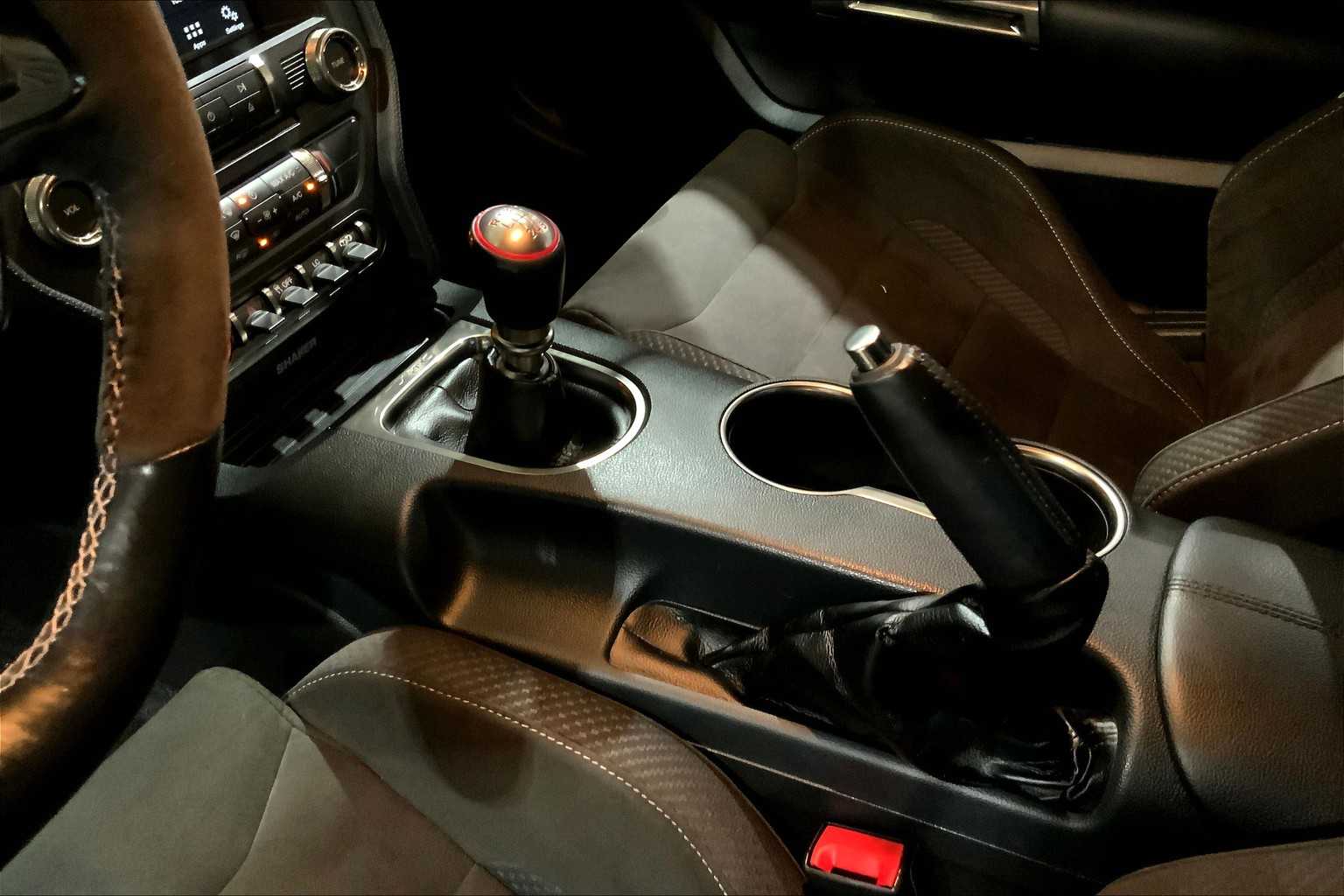 2018 Ford Mustang Shelby GT350 photo 16
