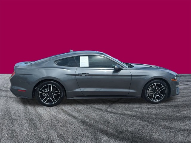 2021 Ford Mustang EcoBoost Premium photo 3