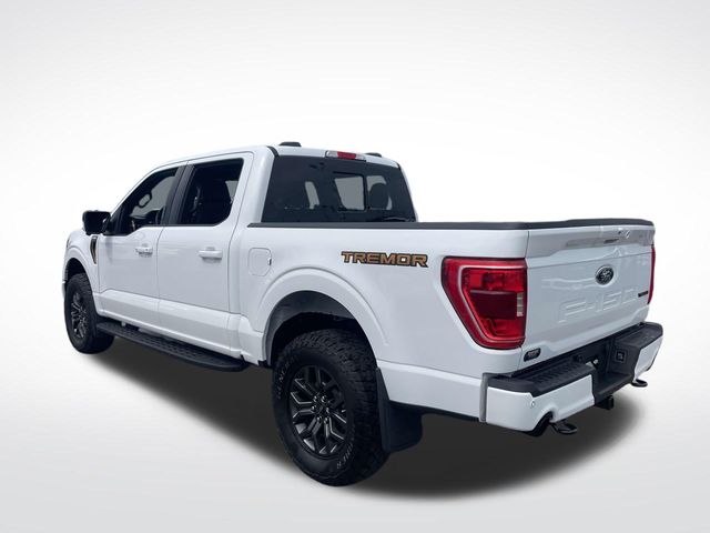 2023 Ford F-150 Tremor photo 3