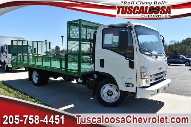 2025 Chevrolet Low Cab Forward Base's photo