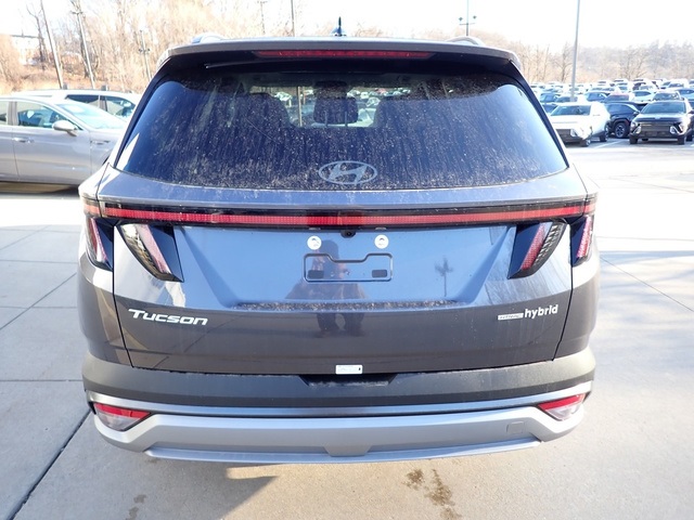 2025 Hyundai Tucson Hybrid SEL Convenience photo 3