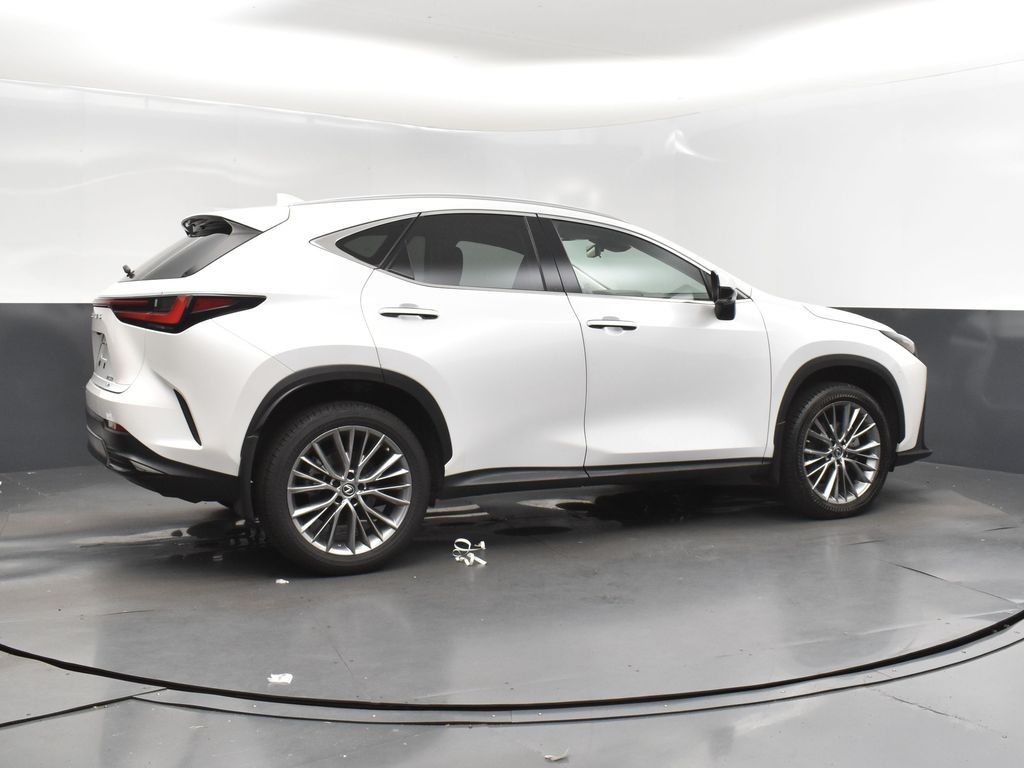 2023 Lexus NX 350 Luxury photo 8