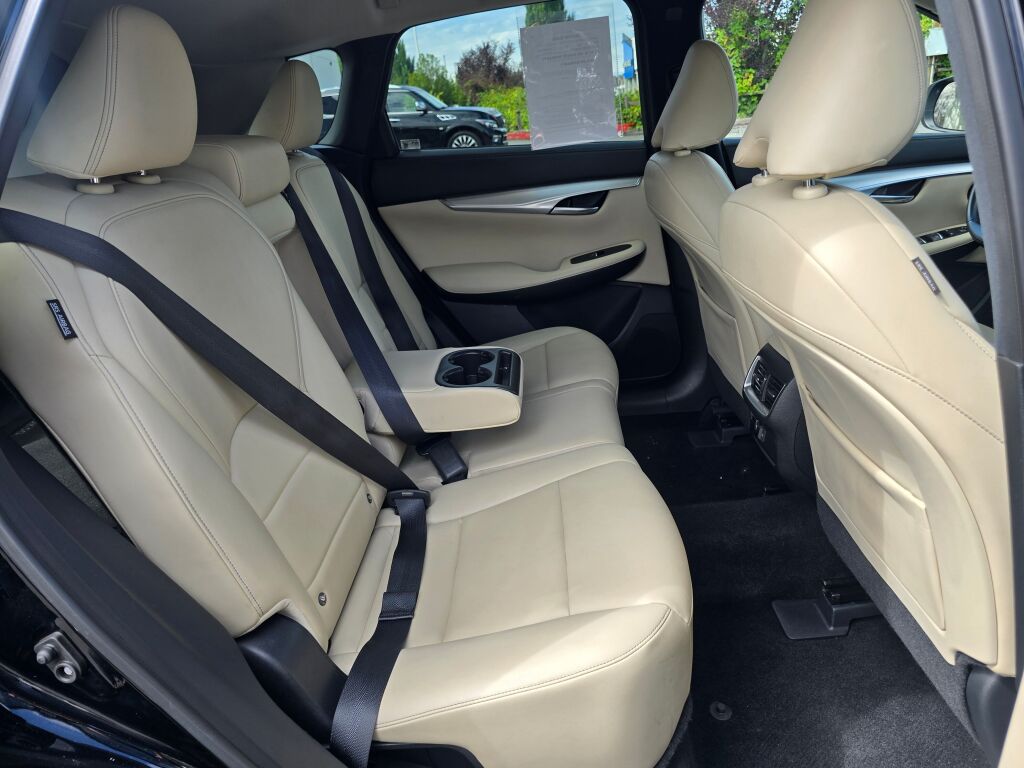 2021 Infiniti QX50 Luxe photo 19