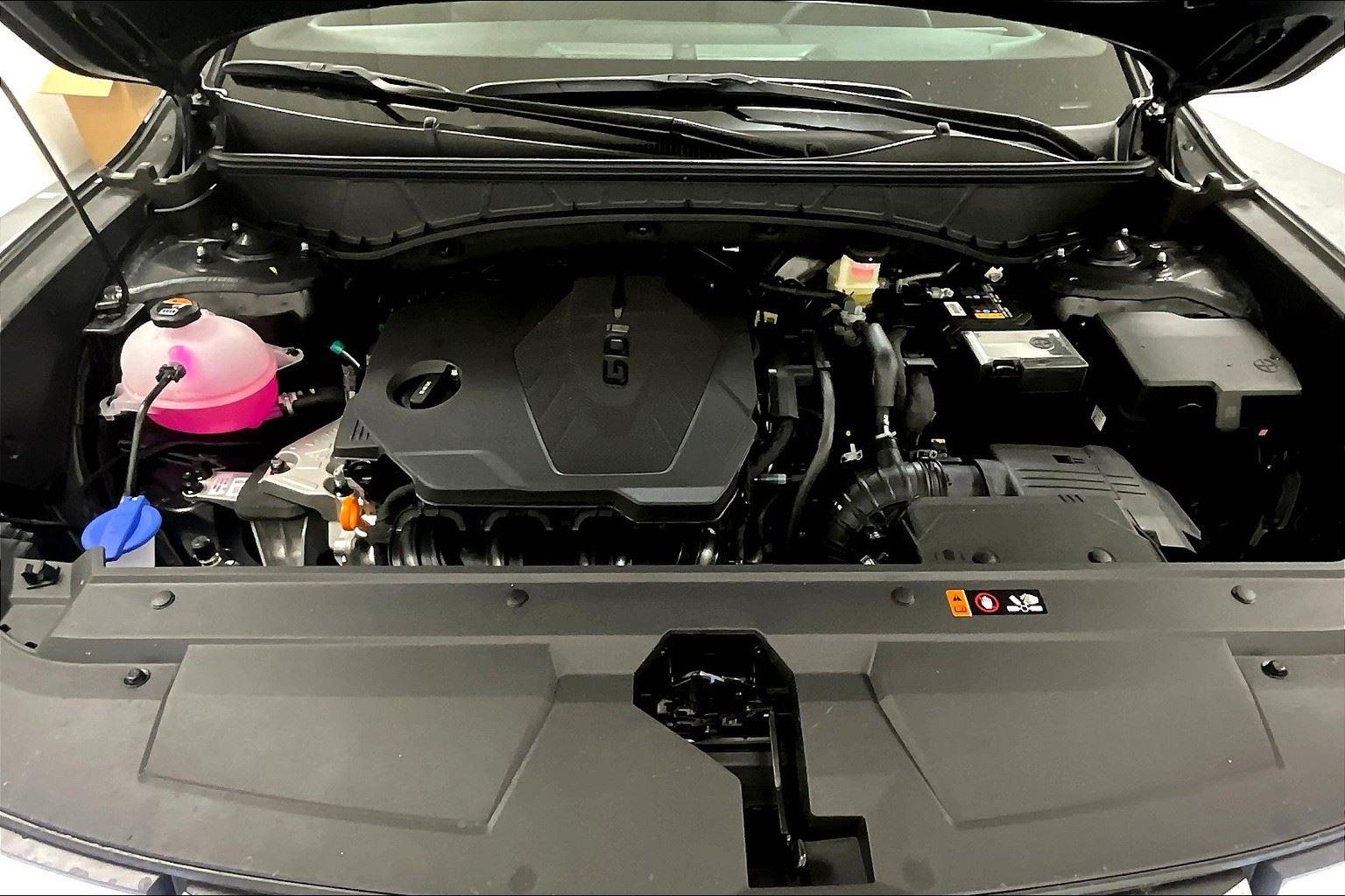 2025 Hyundai Santa Cruz SEL Activity photo 7
