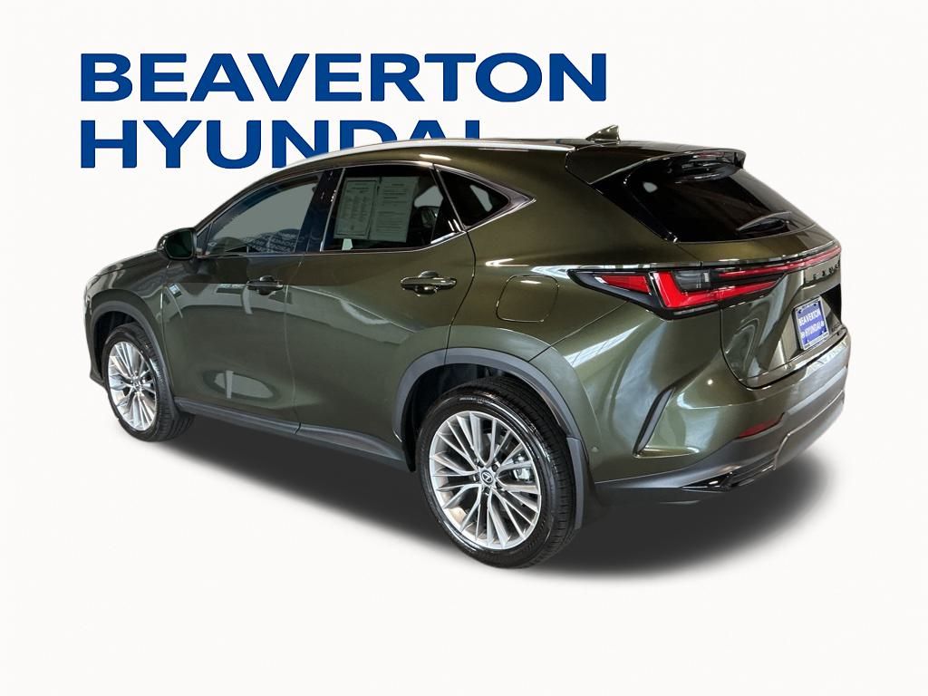 2025 Lexus NX 350 Luxury photo 4