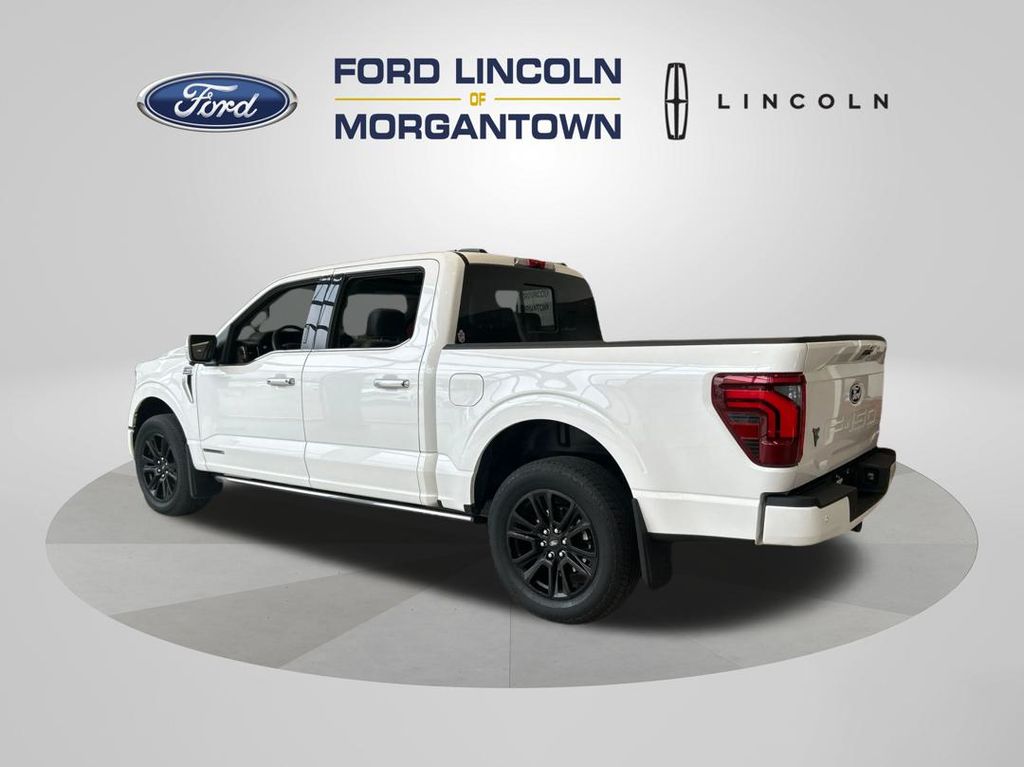 2024 Ford F-150 Platinum photo 6