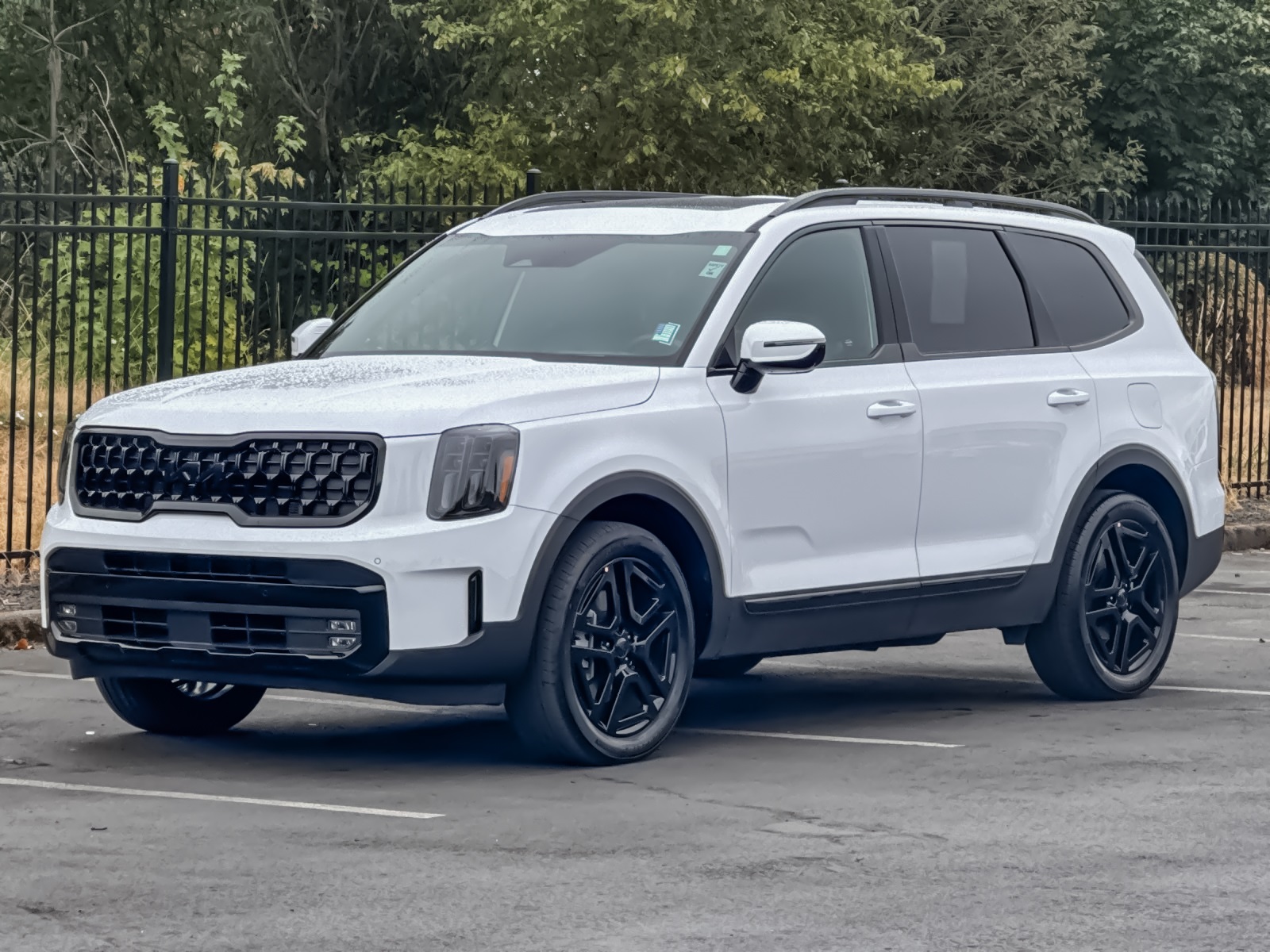 2025 Kia Telluride X-Line photo 7