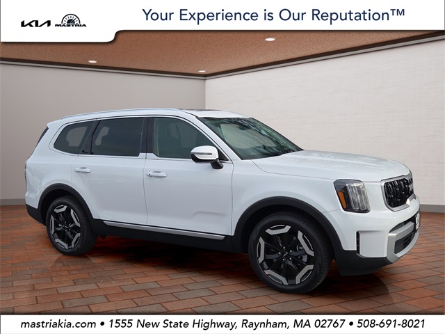 2025 Kia Telluride EX's photo