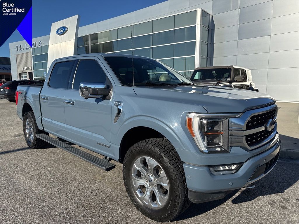 2023 Ford F-150 Platinum's photo
